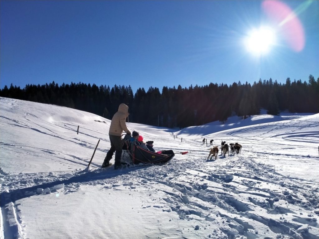 chiens-traineau-jura-hebergement
